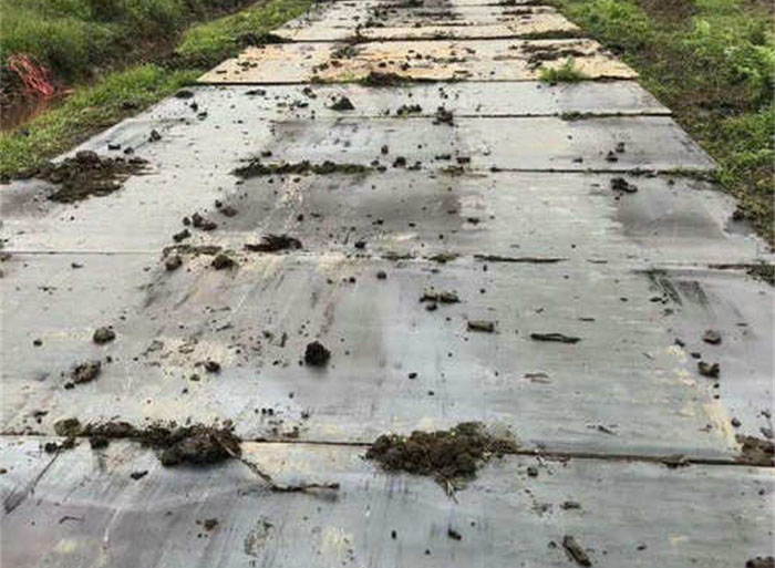 image-20250315135538-1