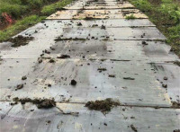 image-20250315135538-1