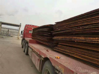 image-20250315135848-1