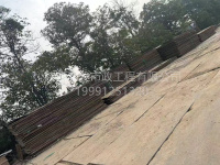 微信图片_20250315162302