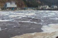 造纸厂污水治理0