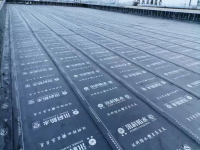 20220510170358_95800