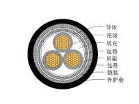 CKJP95SCCKJP96SC-150250V