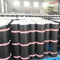 SBS玻纤胎防水卷材2