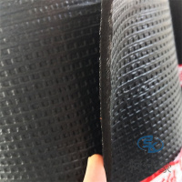 SBS玻纤胎防水卷材3