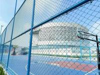 球场围网-3-