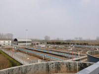 image-20240731103205-1