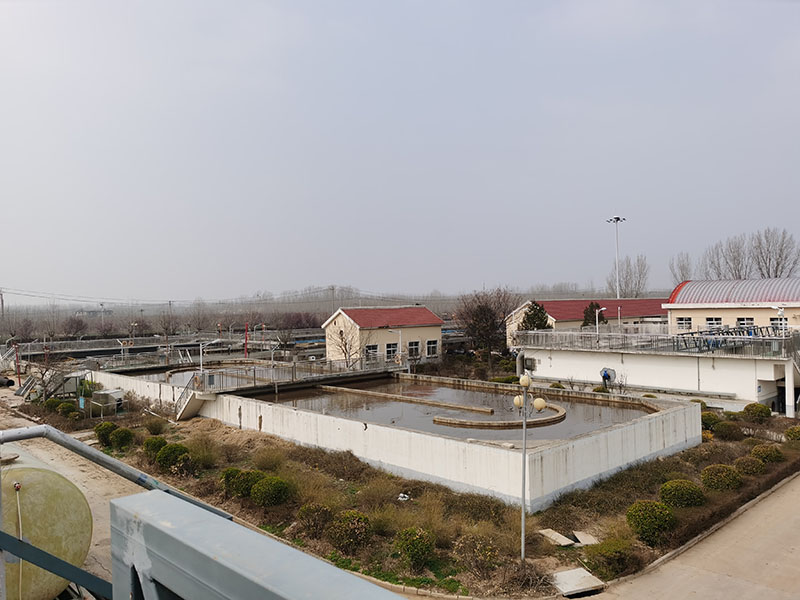 image-20240731103249-1