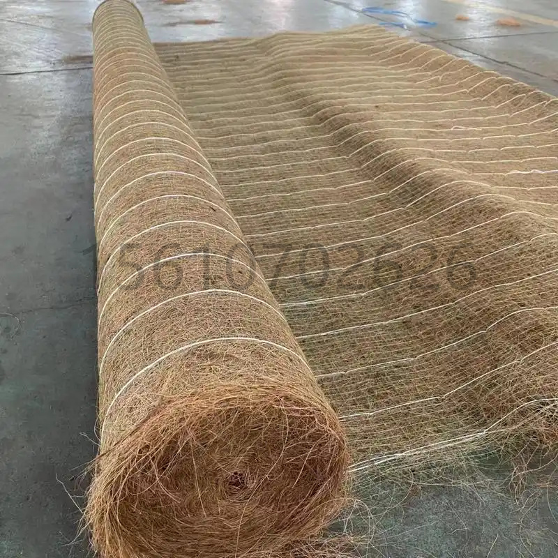 微信图片_20250324165054