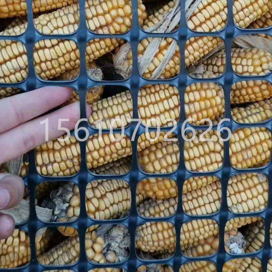 微信图片_20250323160646