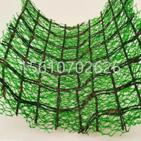 微信图片_20250324160212