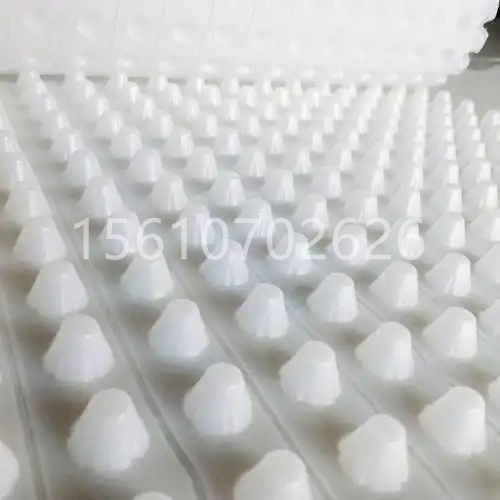 微信图片_20250324150942