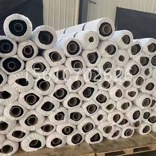 微信图片_20250325150716