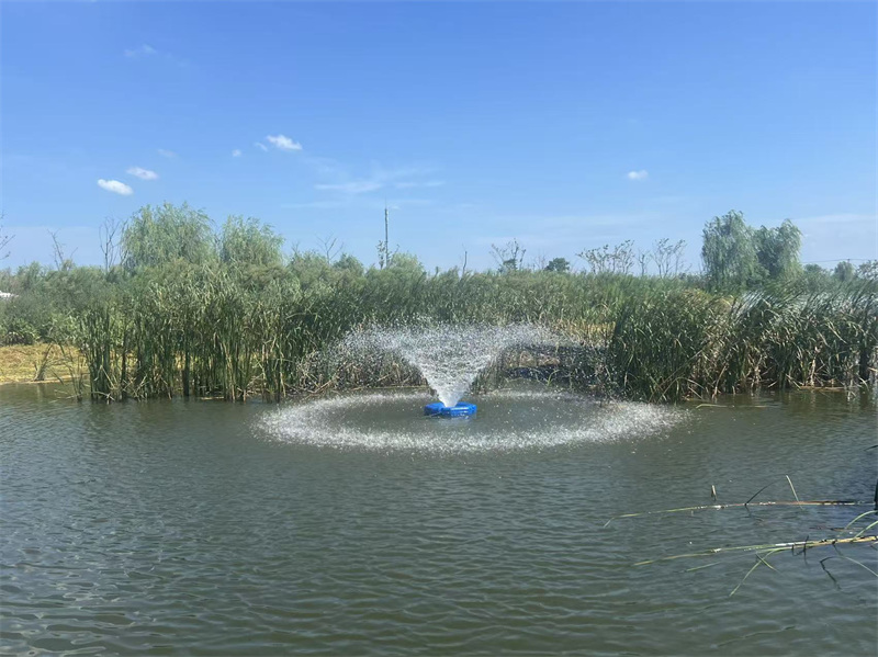 d9e022c6633f3cdf429683fdad2868f8