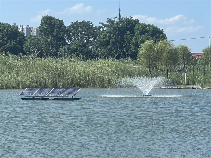 390792e2c5bbdfa0a49ac002e32a95f2