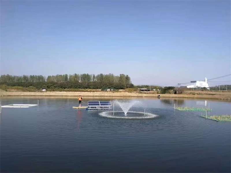 633d75c09ae5bdb504fab4e9571fbb69