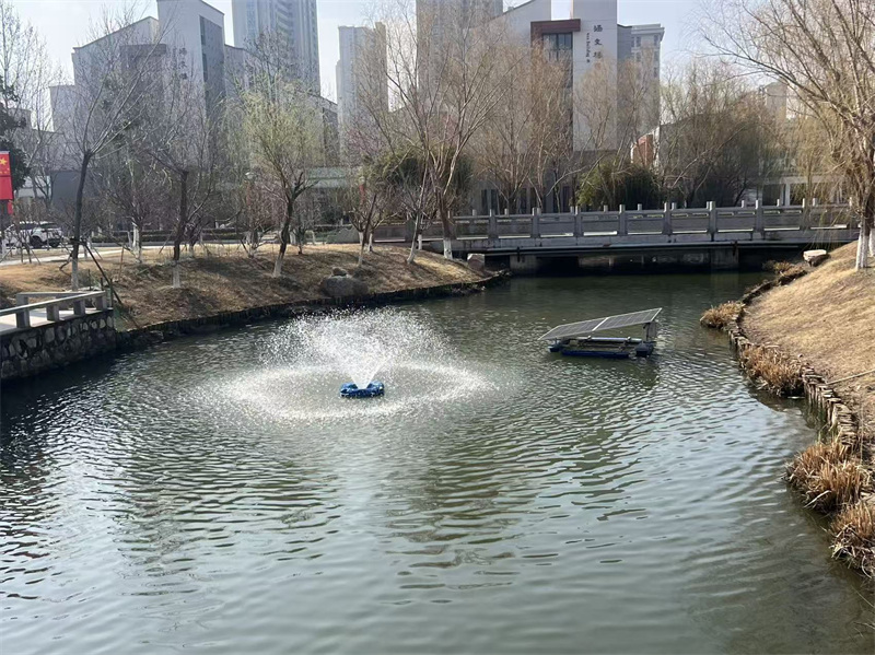 256c8e228304adae8890bbc0913f100e