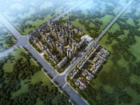 image-20250321090804-1