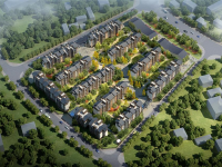 image-20250321090951-1