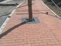 小区混泥土透水砖防滑路面项目