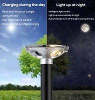 太阳能柱头灯00009