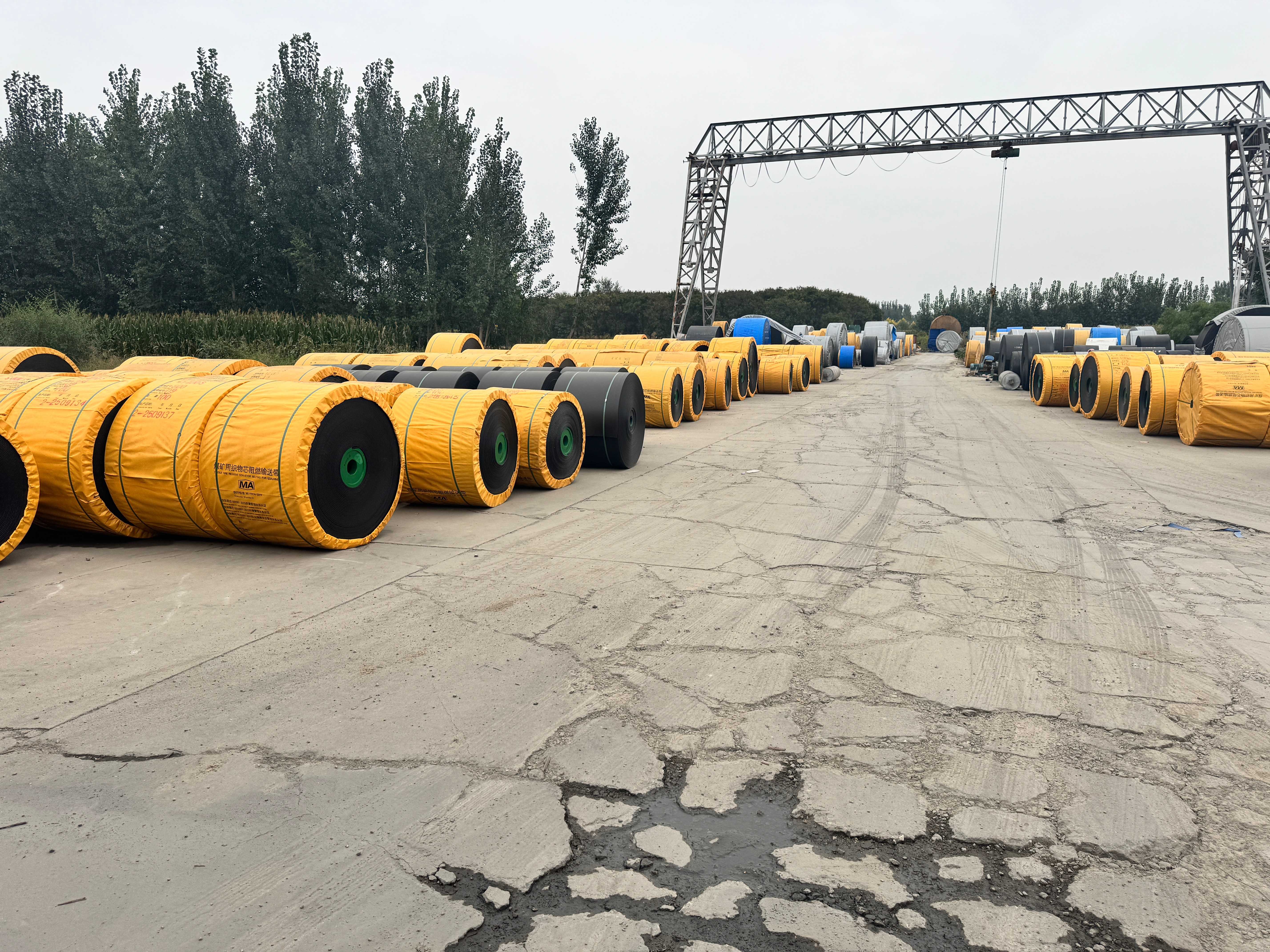 微信图片_20260309102904_900_31