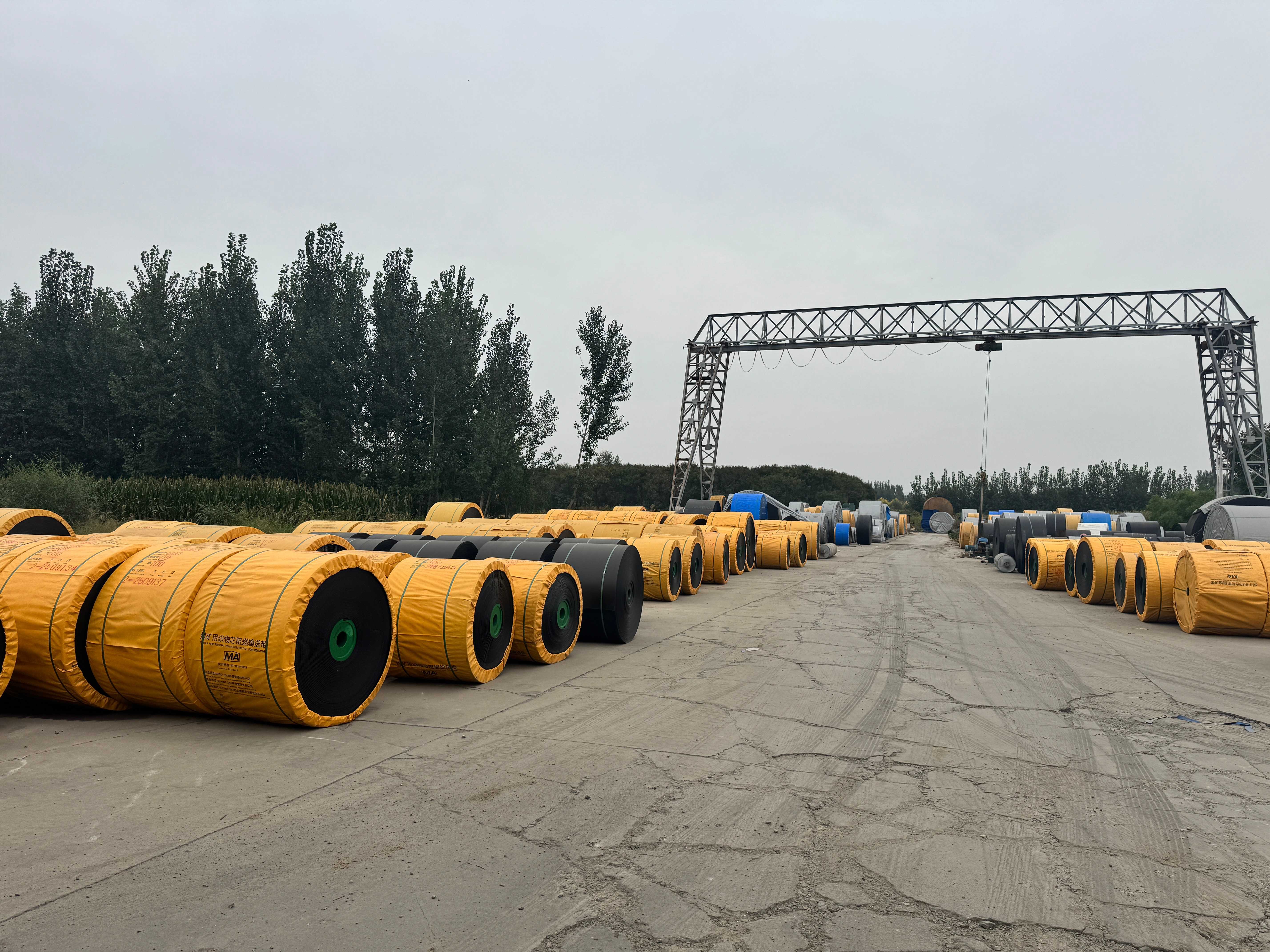 微信图片_20260309102907_901_31