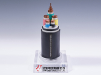 长寿命电力电缆