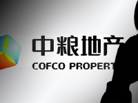 中粮地产