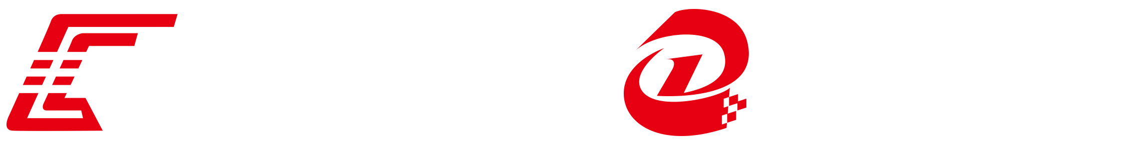 logo11
