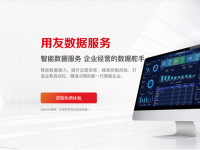 用友数据服务-副本