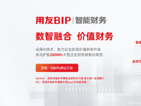 财务云-副本