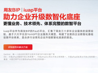 用友iuap平台-副本