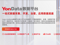 YonData数据平台-副本