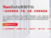 YonAP应用平台-副本