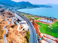 大丽高速