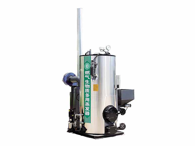 生物质两用蒸汽发生器