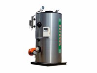 立式燃油气蒸汽发生器