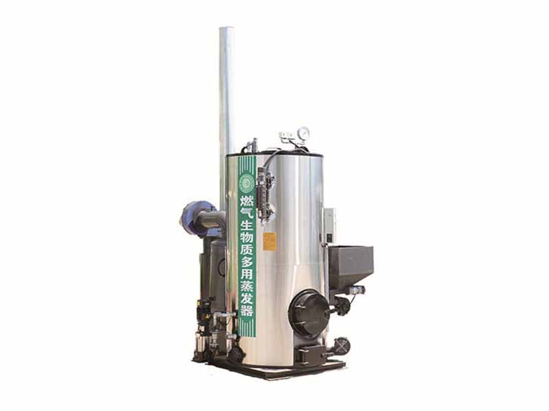 燃气生物质两用蒸汽发生器