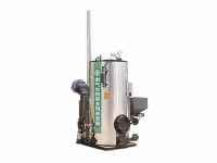 燃气生物质两用蒸汽发生器