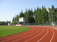 复合型塑胶跑道5