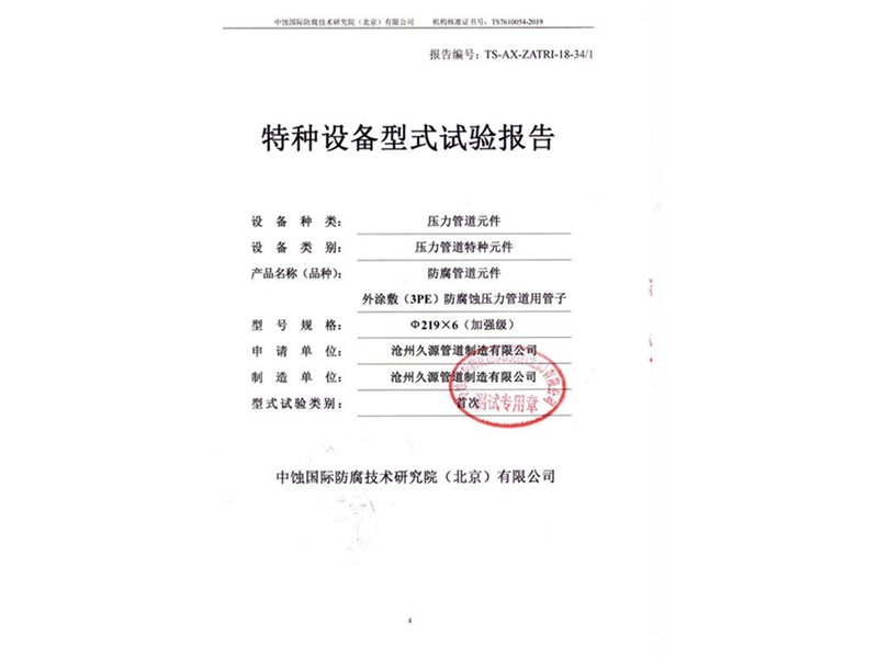 特种设备型式试验报告
