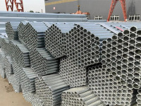 u-2493353076,2972155571-fm-253-app-138-f-JPEG