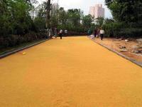 彩色沥青路面施工-7-