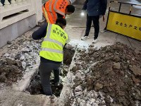 0bc732ee0f531a20abf5f9411e161918