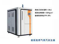 超低氮燃气蒸汽发生器