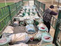 石家庄东方热电股份有限公司