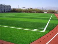 人造草坪-4-