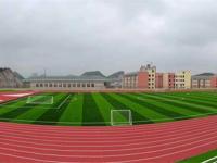 混合型塑胶跑道-1-