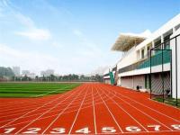 EPDM塑胶跑道-1-